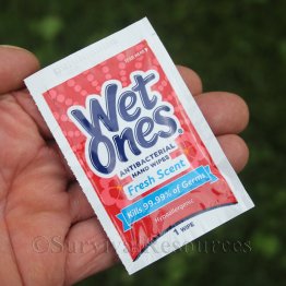 "Wet Ones" Antibacterial Hand Wipes - 6 Pack