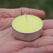Citronella Tealight Candles - 6 Pack